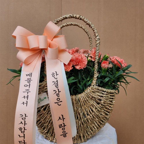 카네이션 어버이날 선물 네츄럴 바구니 대전 전 지역 퀵배송 상품